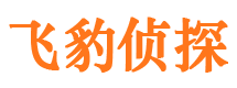 清河市侦探调查公司